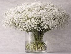 دسته‌بندی سوم