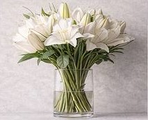 اشتراک پایه