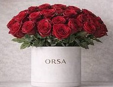 اشتراک استاندارد